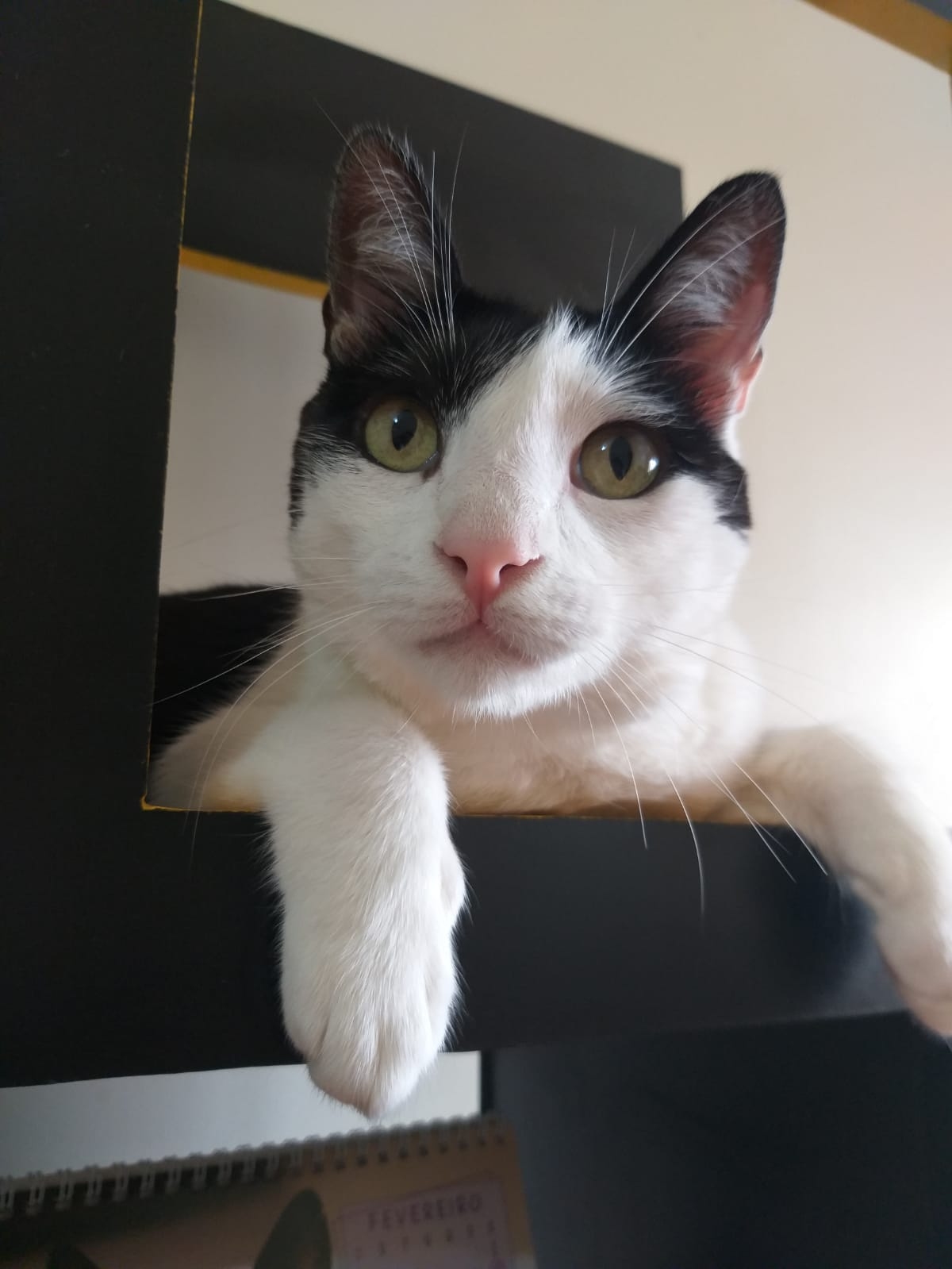 Tiago
